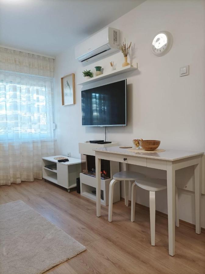 Fenix Apartment, Apartmán *